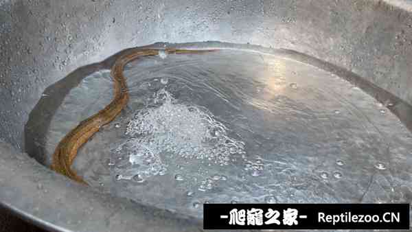 150459f05yy7e0zzyyy70p.jpg