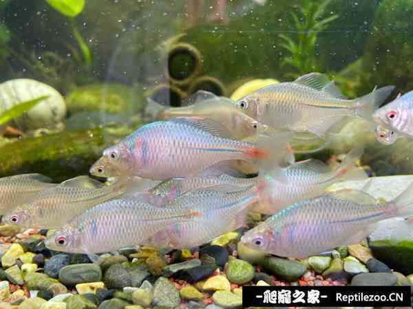 150511z1cak84y9v7upcu1.jpg