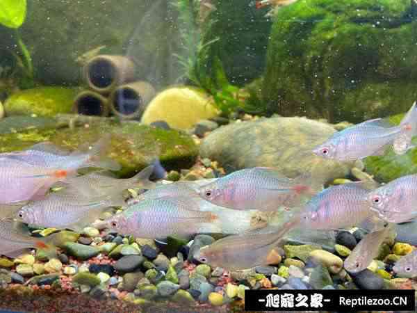 150513gh6vvz3srwxccvqh.jpg