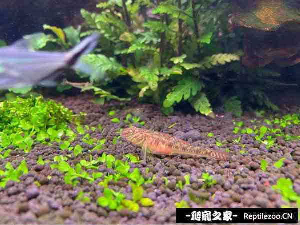 150519hdtoo8z8vxrr8dxr.jpg