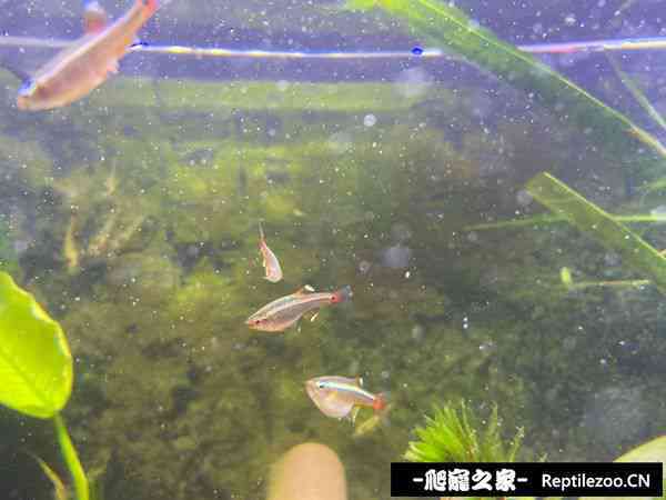150528d93t9p58j88t7ftu.jpg
