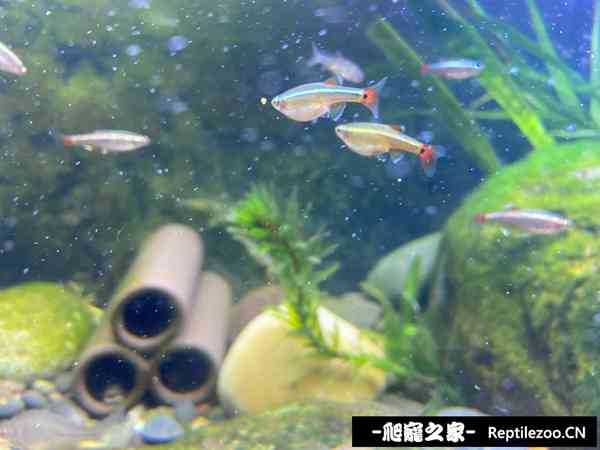 150530t63v3ygb33dgmiip.jpg