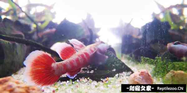 150622j5tng2d2ntdtm92t.jpg