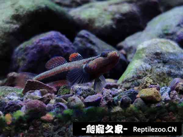 150750q1cnqc4u358b6na8.jpg