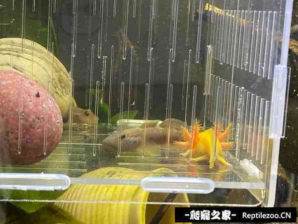 150756j0qvvw937ad70lq6.jpg