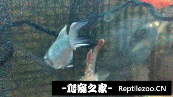 150824v0757rrr2rtwb1wn.jpg