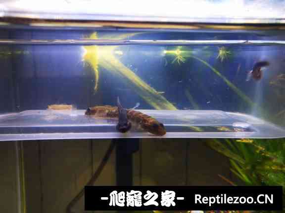 150842c0z2m9ccma11zf77.jpg
