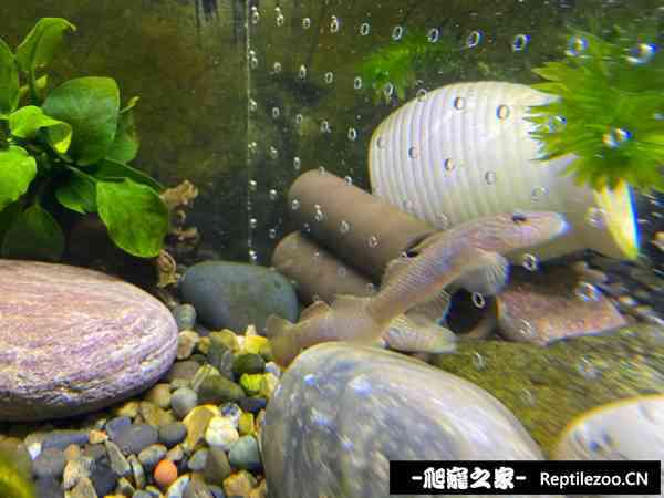 150912qbp1rqbob1cq18dr.jpg