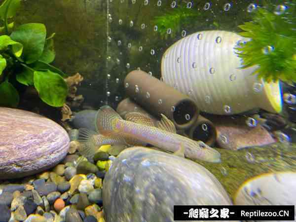 150914jr2nf2ns2lftjtql.jpg