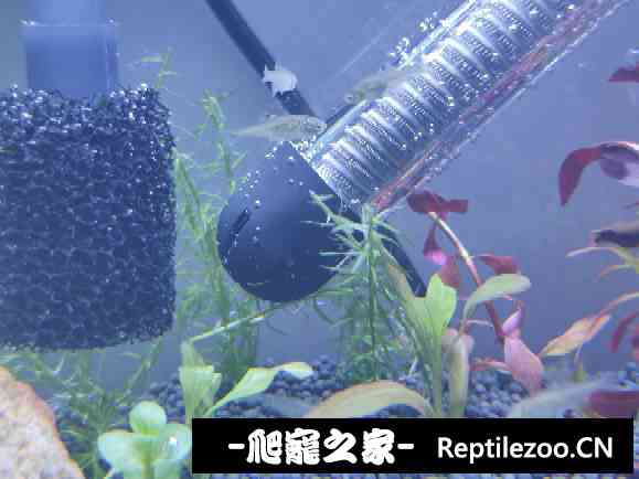 150930bck7hhrc3x9w3vrc.jpg