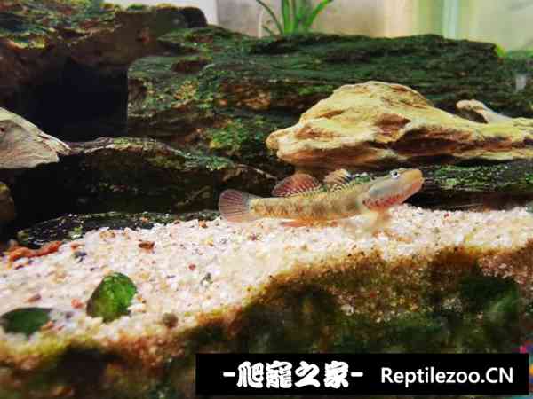 150950uh26wooc31r0n4xn.jpg