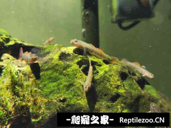 151023dr47cypgmzwy5vn5.jpg