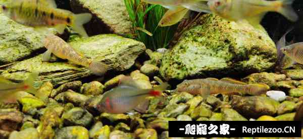 151139zo26rjjxo9ljw6gh.jpg
