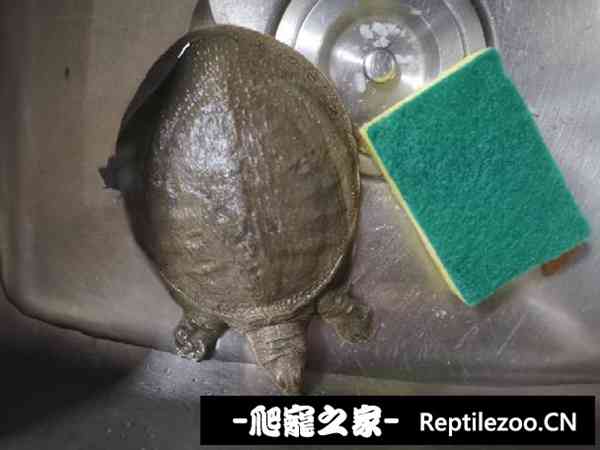151149zufcu11gdyccpuud.jpg