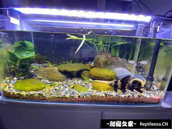 151521nlu99j22qq6lgiip.jpg