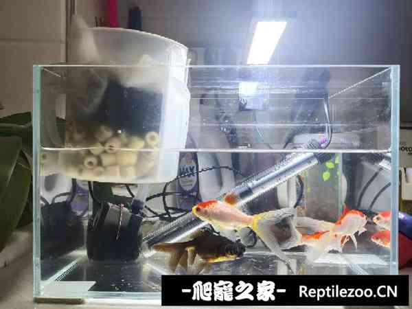 151528ib2qxefx6e3wj120.jpg
