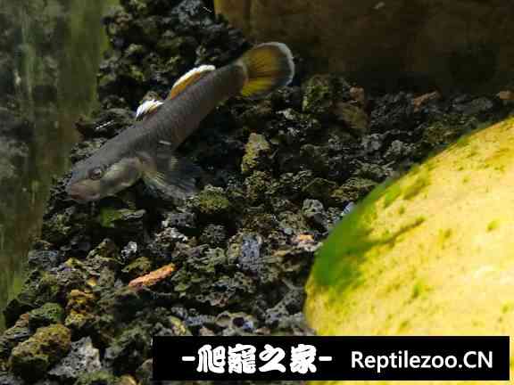 151559ljio7hzhwiikpwjx.jpg