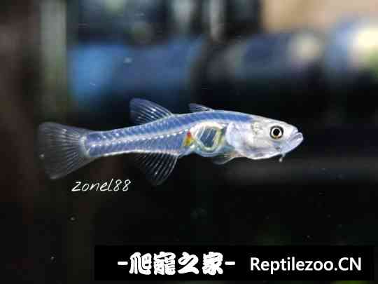 151628ndamm4c4dkxvyk44.jpg