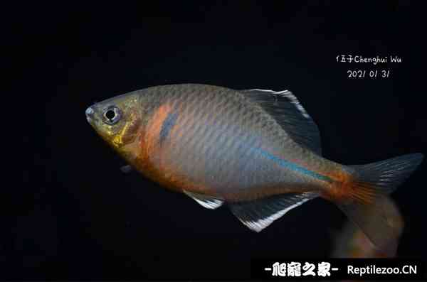 151710u1egjwtgukwujw6a.jpg