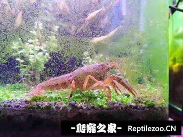 151719kvumtmttdqdvzl7l.jpg