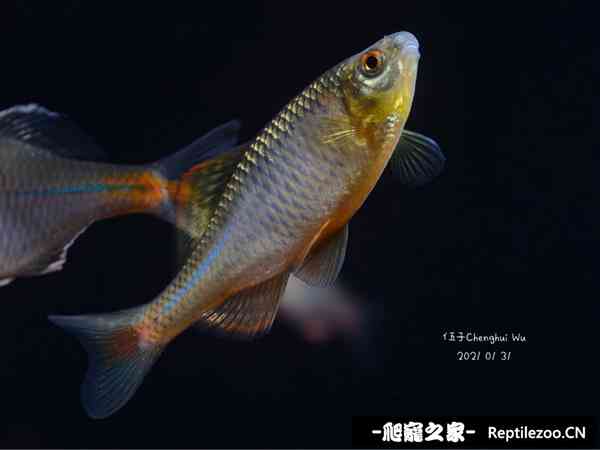 151725qtiqibf6xphhjthq.jpg