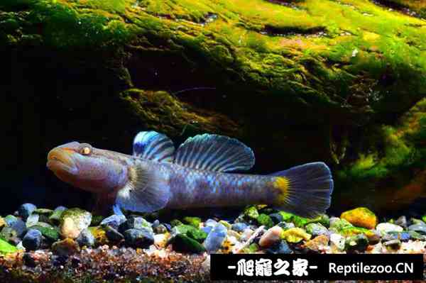 152023pgjp0dp7v93kgakh.jpg