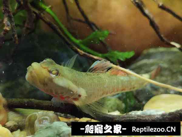 152102uoop7bhdfj536fm3.jpg