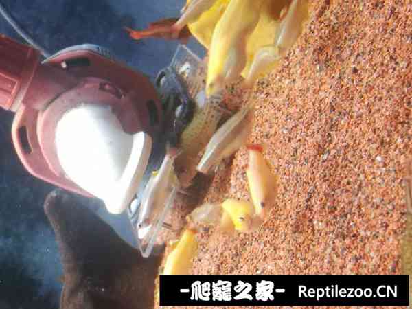 152248fiq6evqsrm3rjkj7.jpg