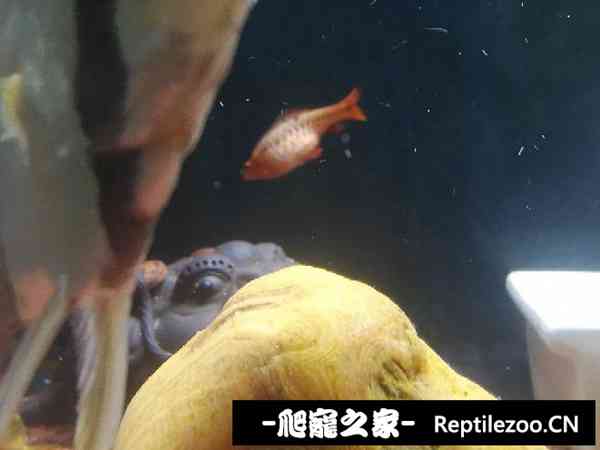152249m26h5f5z5nwz52ap.jpg