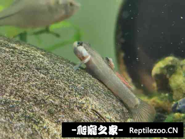 152331od4jcn24b3zn3ts4.jpg