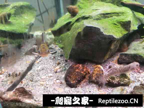 152412v77iin9biw2i2g7q.jpg
