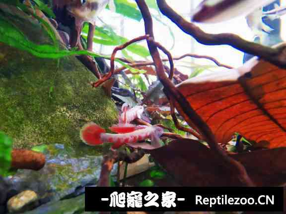 152418atwur7st6rp7yjd7.jpg