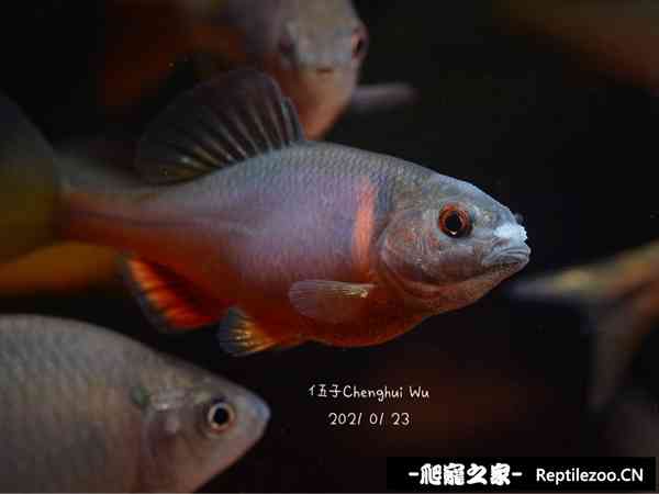 152436tokg44fqlfbgfpg7.jpg
