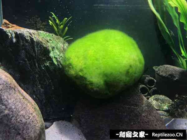 152534nvg4jqkqvq9jxkqf.jpg