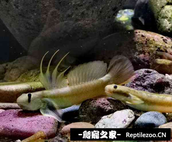152625xgggg6vyxxu76phg.jpg