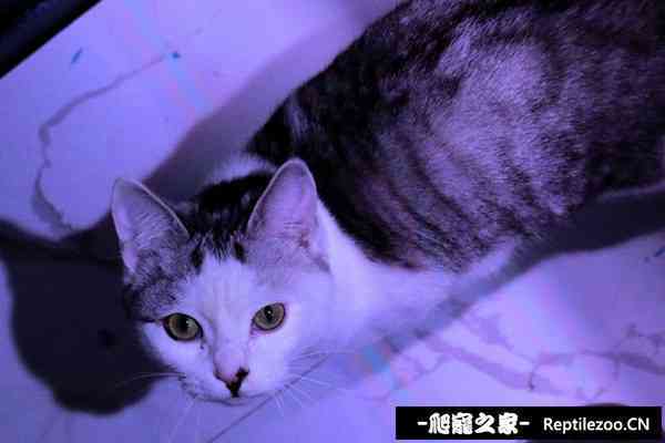 152753uff79fc9dol57n1z.jpg