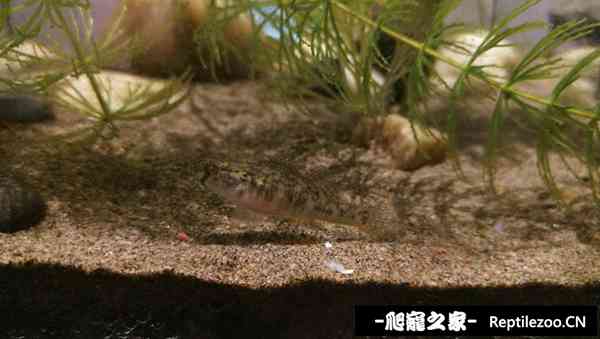 152906is1f93s9fpv0q13f.jpg