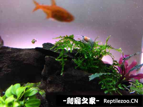 152932m6s437x8isxfs680.jpg