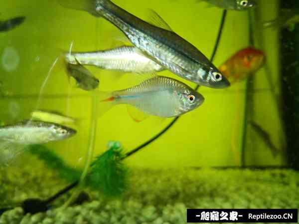 153027qqcb22zp42ryobqo.jpg