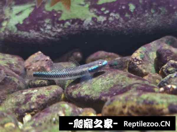 153042hwbcy5w3w6ua6zzz.jpg