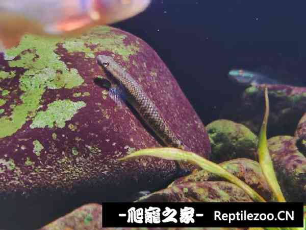 153043xhwk5lo5owwawtnc.jpg