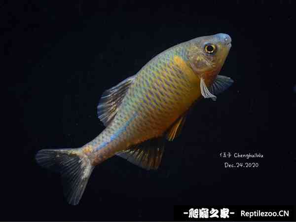 153143r5zg2h1512gnnz1y.jpg