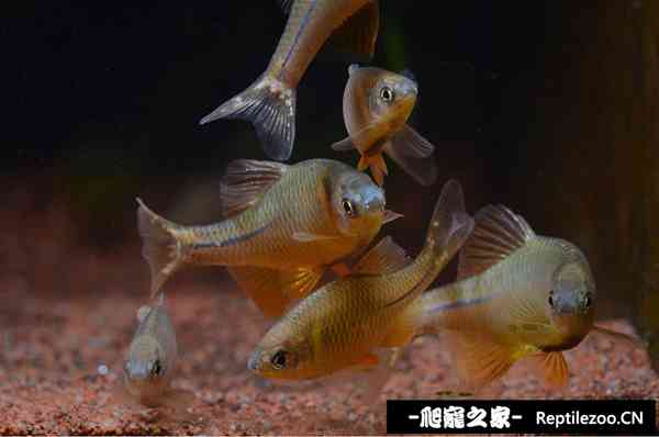 153144iuu05zvfhh6uwv9d.jpg