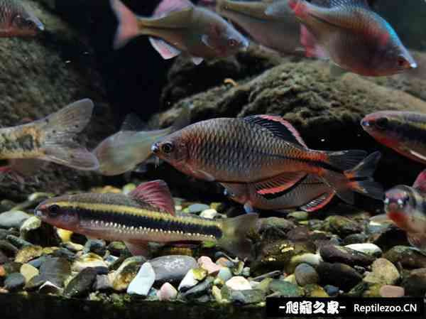 153205vgyyumjsz0p7351p.jpg