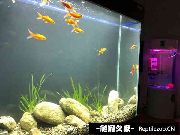 153216w7qmf7gocqcqqoyw.jpg