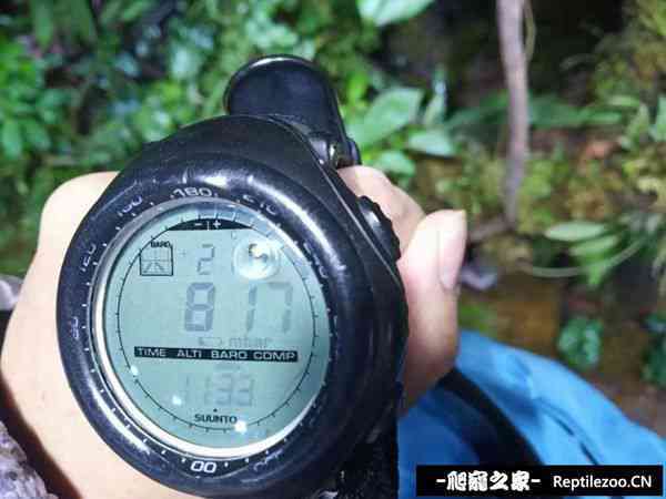 153301s9hx9x9p2rp4ii5g.jpg