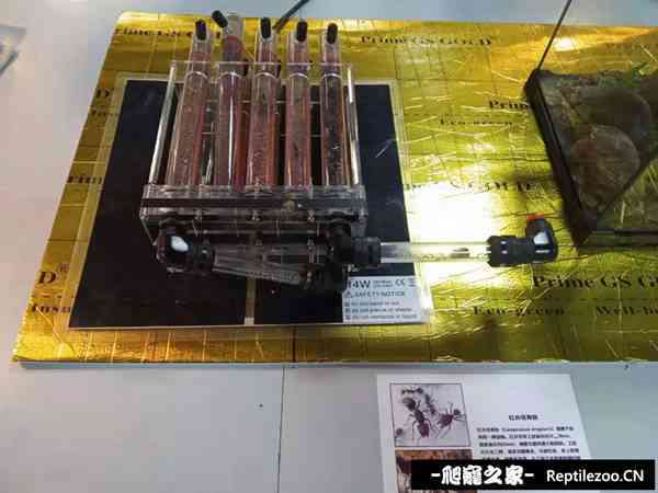 153312krb4vf2974ryfoz5.jpg