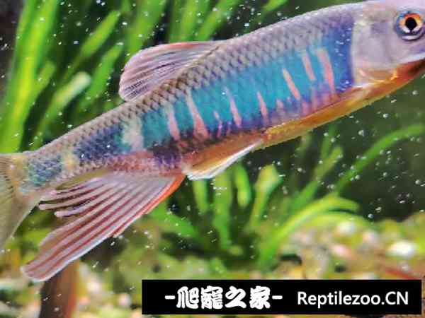 153324un95px8qna5c9hdb.jpg