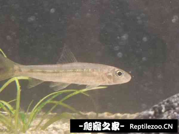 155212nquuju4qhupmf9qu.jpg