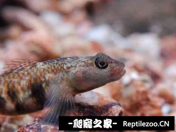 155230w8eq89m8hbe9obrg.jpg